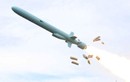 Pakistan mua C-602 Trung Quốc đối phó BrahMos Ấn Độ