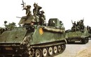Xem thiết giáp M113 Việt Nam có sử dụng thao diễn