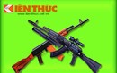 Infographic: Các biến thể súng trường AK của Việt Nam (1)