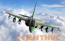 Infographic: Máy bay huấn luyện Yak-130 VN có thể mua