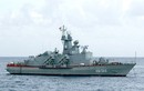 Nga sẵn sàng bán tên lửa Klub cho tàu Molniya Việt Nam