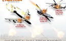 Infographic: Vũ khí Việt Nam trong chiến dịch ĐBP trên không (8)