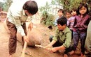 Kinh hoàng cảnh dân Việt “cưa bom” đùa với tử thần