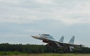 Ảnh: Máy bay tiêm kích Su-30MK2 trở lại bầu trời