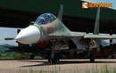 Việt Nam nghiên cứu chế tạo lốp cho máy bay Su-30MK2?