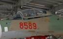 Trầm trồ buồng lái tiêm kích Su-30MK2 của Việt Nam