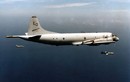 Việt Nam sẽ chọn P-3C Orion thay vì C-295MPA, tại sao?