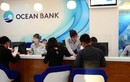 Phó GĐ OceanBank Hải Phòng vắng mặt bất thường