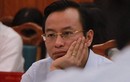 Xem xét chức vụ Chủ tịch HĐND của ông Nguyễn Xuân Anh 