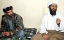 Bí mật bộ sưu tập băng cát xét của Osama Bin Laden