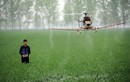 Video: Hành động bất ngờ của anh nông dân khi thấy flycam trên cánh đồng