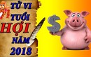 Video: Tử vi tuổi Hợi tháng 12 âm lịch năm 2018