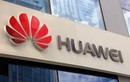 Ba Lan bắt giám đốc Huawei về tội “làm gián điệp”