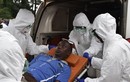 84 người tử vong vì dịch Ebola trong ba ngày
