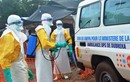 3 nhà báo bị giết vì tuyên truyền chống dịch Ebola 