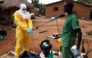 Trung Quốc tìm ra thuốc đặc trị Ebola?