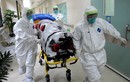 Đại dịch Ebola: châu Á sẵn sàng chiến đấu 