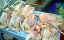 Kinh hoàng hậu họa ăn gà “kháng sinh”