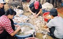 Ca tử vong do cúm A (H5N1) đầu tiên trong năm 2014