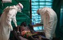 VN lập Trung tâm Đáp ứng dịch bệnh khẩn cấp chống Ebola