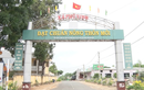 Đồng Nai: Trong 1 ngày Cty Phát Trung Việt  trúng 4 gói thầu xây lắp 