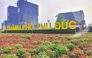 TP HCM: Cuộc đua giành gói thầu xây dựng đường và cầu Bà Cả 