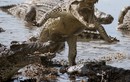 Cận cảnh cú đớp chết chóc của cá sấu khủng (4)
