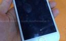 Lộ ảnh thực tế iPhone 6 siêu mỏng gây chấn động