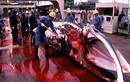 Xót xa cảnh cá voi bị tàn sát đẫm máu