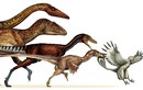 Bằng cách nào khủng long khổng lồ “teo nhỏ” thành chim?