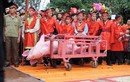 Kiến nghị đổi tên lễ hội Chém lợn thành Rước lợn