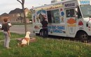 "Phục" chó Pit Bull kiên nhẫn xếp hàng chờ lượt mua kem