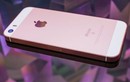 Lý do Apple nên "hồi sinh" iPhone SE ngay và luôn