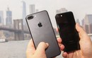 Dòng iPhone nào có quyền "lên đời" iOS 13?