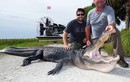Hãi hùng thợ săn bị ngoạm mất xương tay khi gỡ bẫy cá sấu
