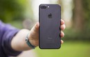 Bất ngờ iPhone 7 Plus cũ giảm sâu, còn hơn 5 triệu