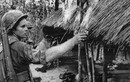 Những hình ảnh khó quên trong Chiến tranh Việt Nam 