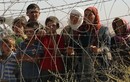 Nhiều nước khốn đốn vì khủng hoảng tị nạn Syria