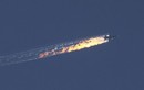 NATO khó “phòng vệ tập thể” về vụ TNK  bắn hạ Su-24