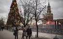 Nỗi nhớ mùa đông: Giáng sinh không tuyết trắng ở Châu Âu