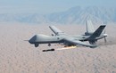 Mỹ sẽ điều UAV MQ-9 Reaper giám sát Biển Đông