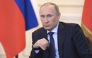 Chuyên gia CIA: Ông Putin sẽ tái tranh cử tổng thống