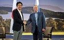 Thượng đỉnh Abe-Putin: Khó đột phá về vấn đề lãnh thổ