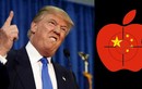 Khó tránh khỏi đối đầu Trung-Mỹ dưới thời Tổng thống Donald Trump