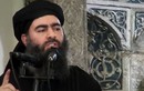 Thủ lĩnh IS Abu Bakr al-Baghdadi “tử thủ” ở Raqqa?