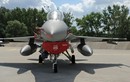 F-16 của Ba Lan đã đón đầu máy bay chở Bộ trưởng Shoigu