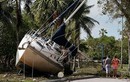 Bão Irma gây thiệt hại nặng nề cho Cuba và Mỹ