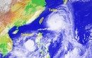 Trung Quốc "thấp thỏm" chờ siêu bão Talim và Doksuri…