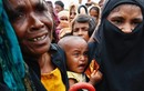 Cội nguồn thảm kịch Rohingya ở Myanmar