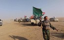 Chùm ảnh Quân đội Iraq giải phóng khu vực Hawija 